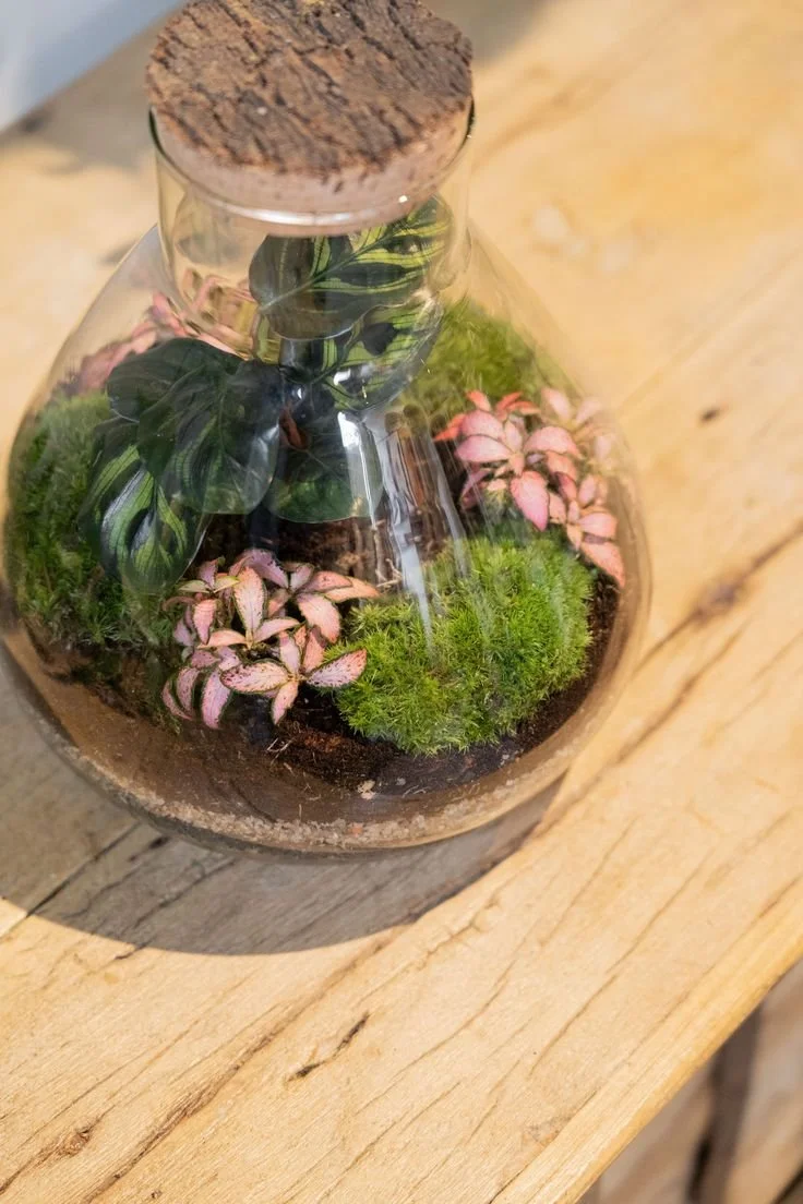Terrarium Making Workshop