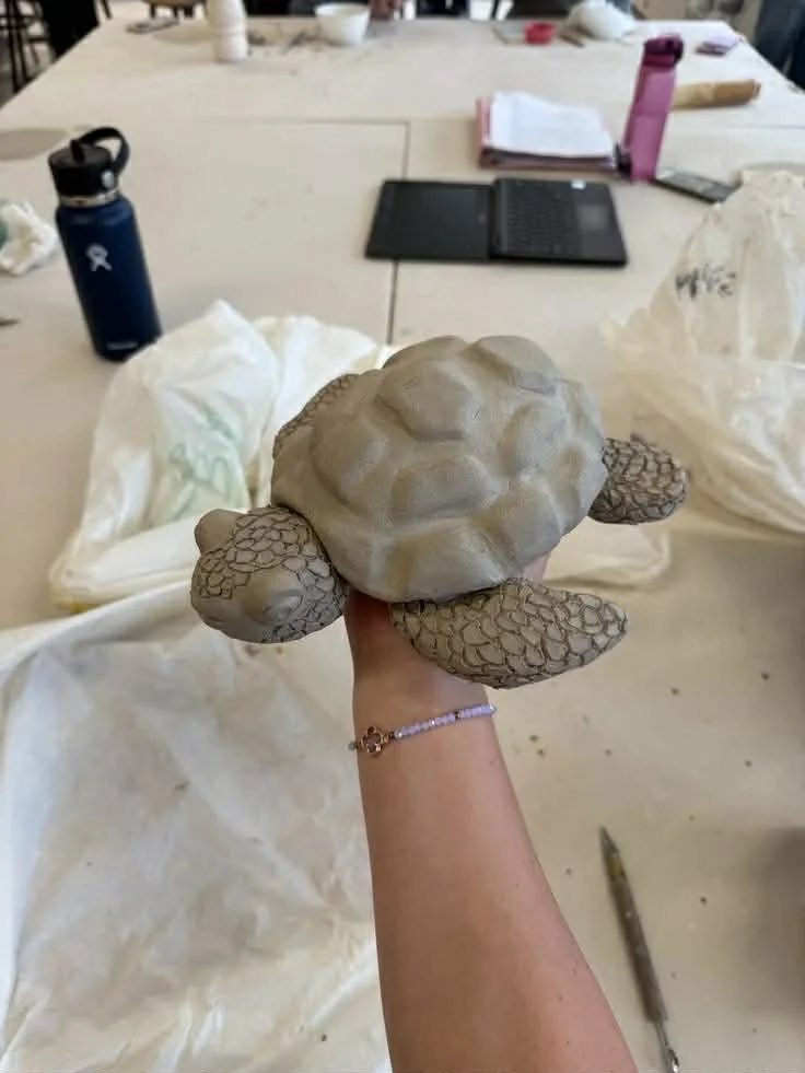 Tortoise Pottery Workshop