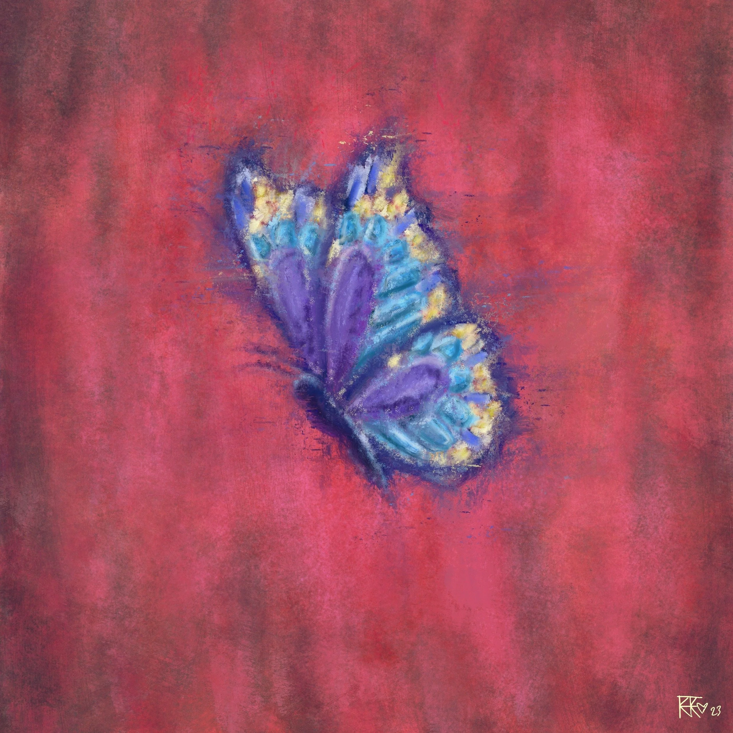 Painted_Butterfly 1.JPG