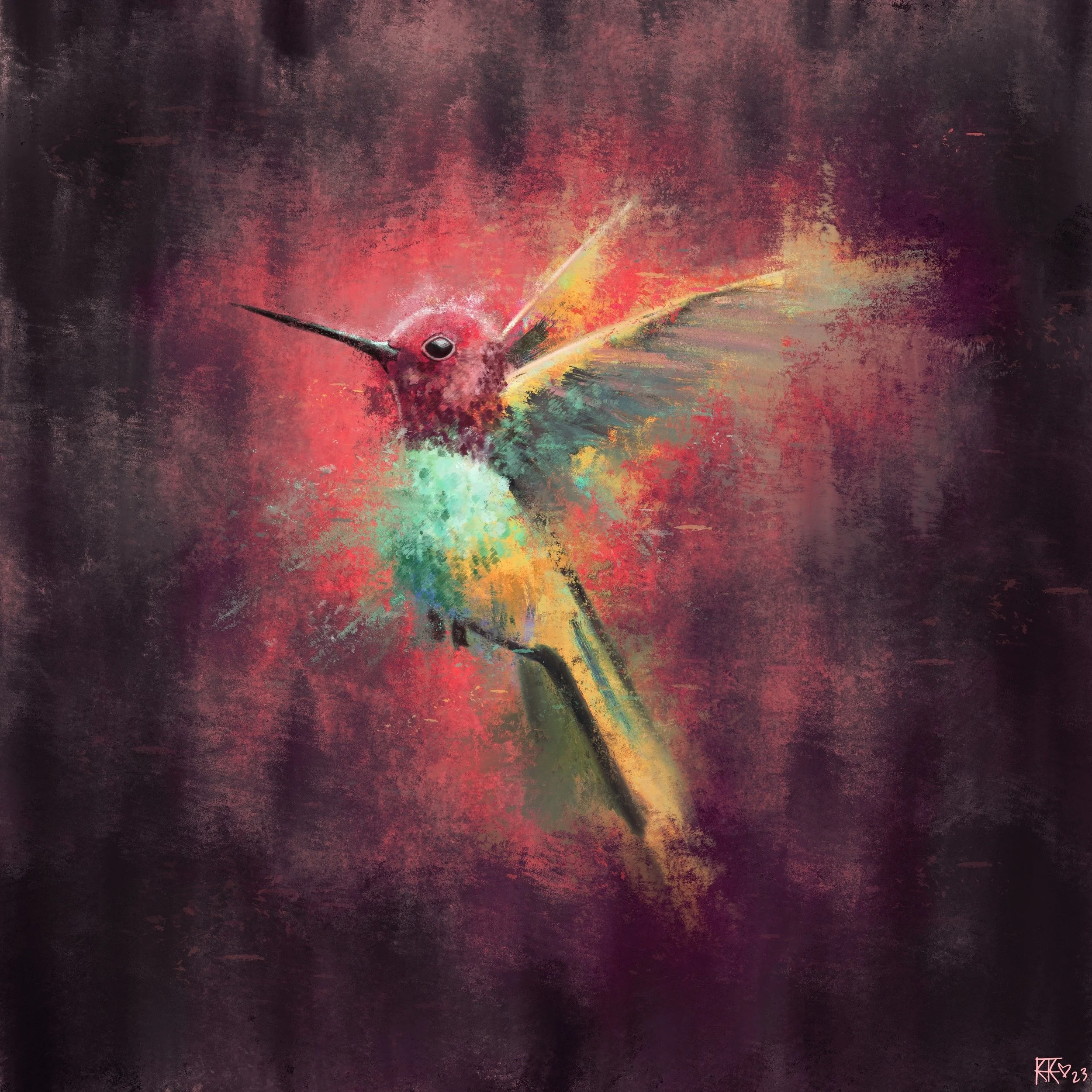 Painted_Hummingbird.JPG