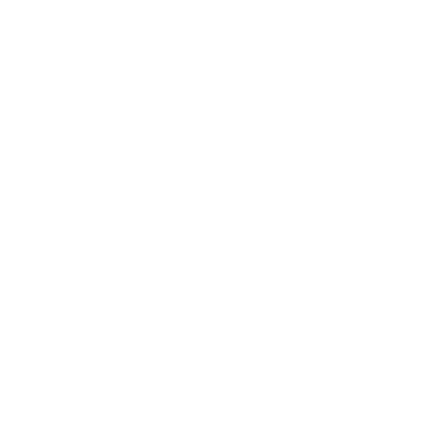 Peak Physiotherapy and Performance