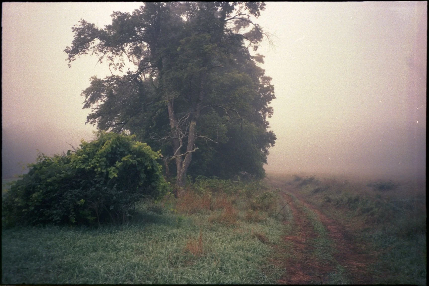 analog_2.26 (22).jpg