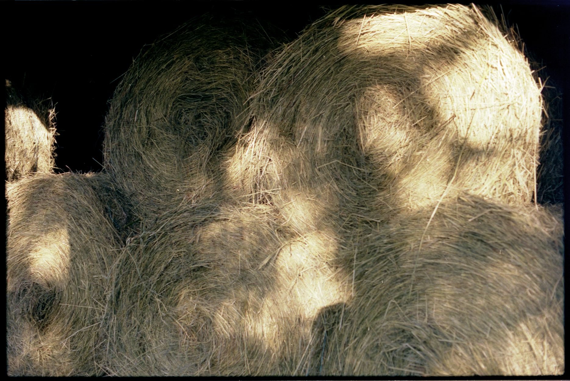 summerekta160027.jpg