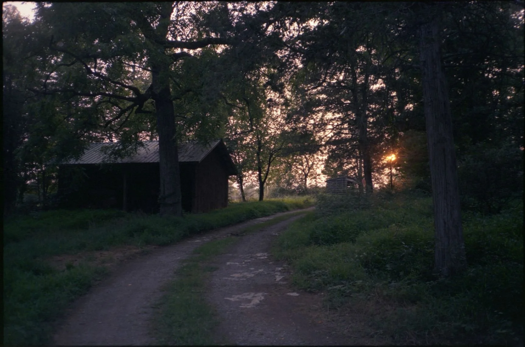 analog_2.26 (25).jpg