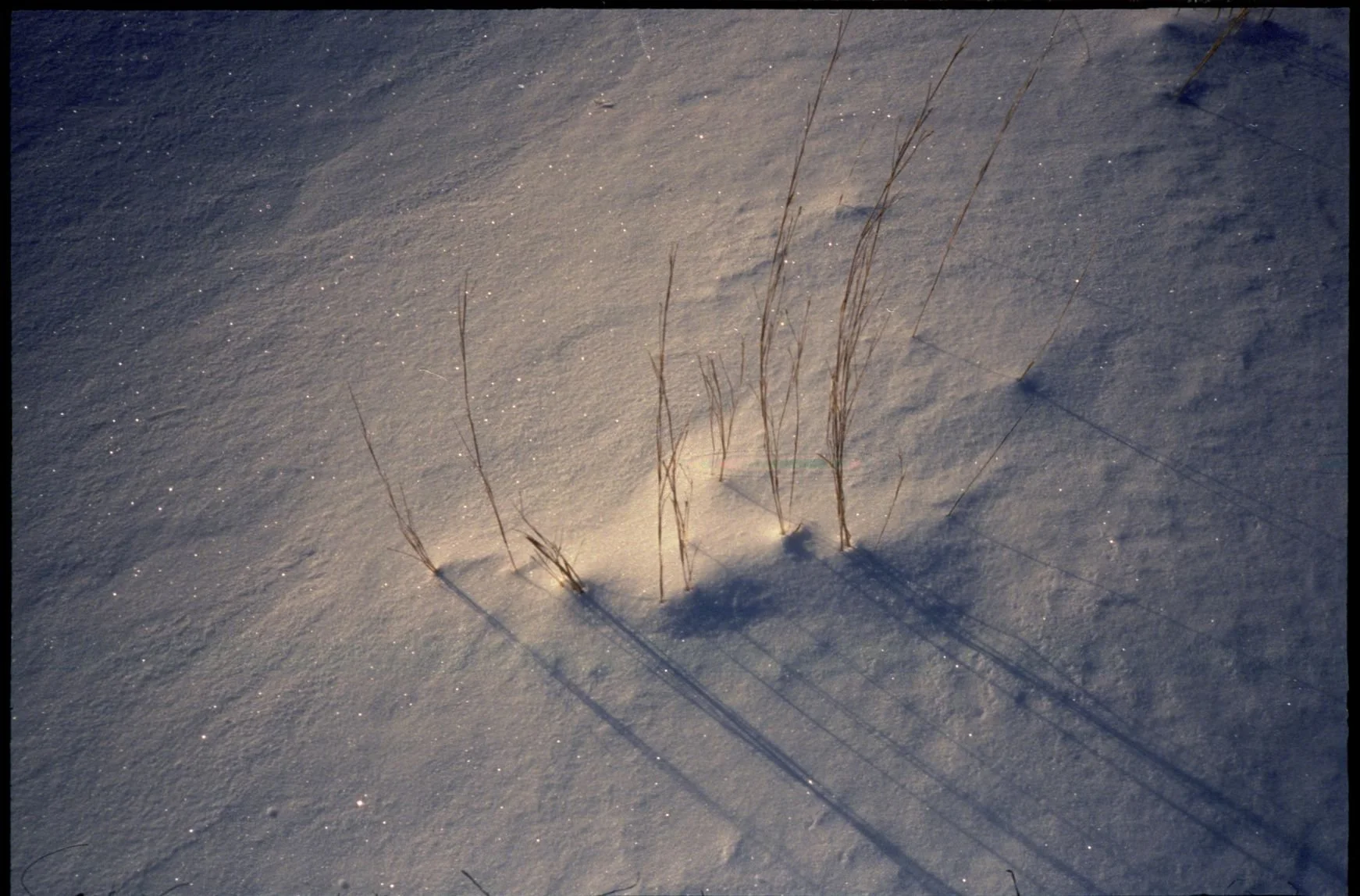 analog_2.26 (45).jpg