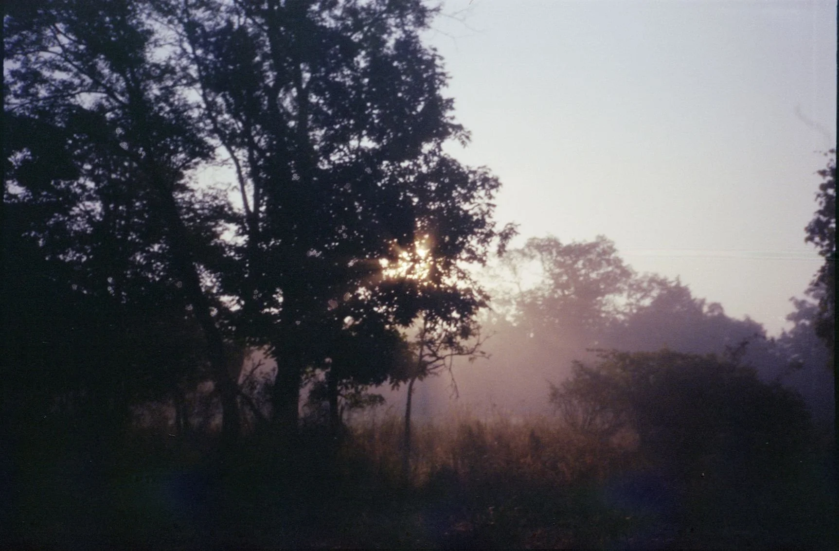 analog_2.26 (14).jpg