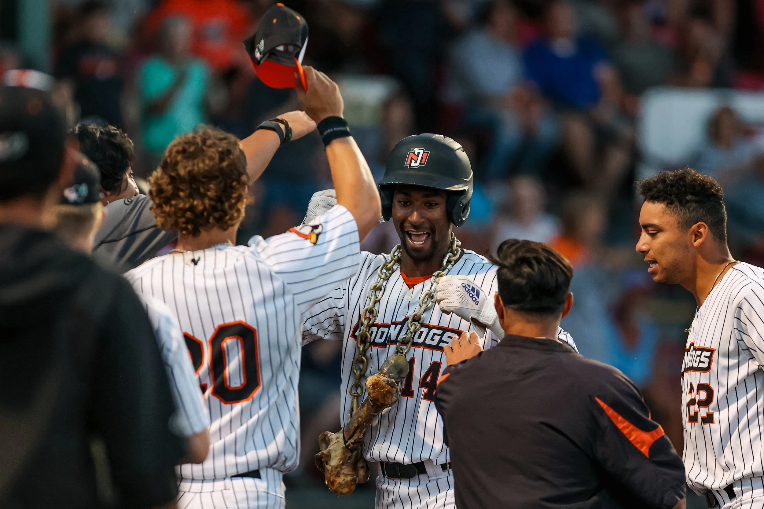 MoonDog Home Run.jpg