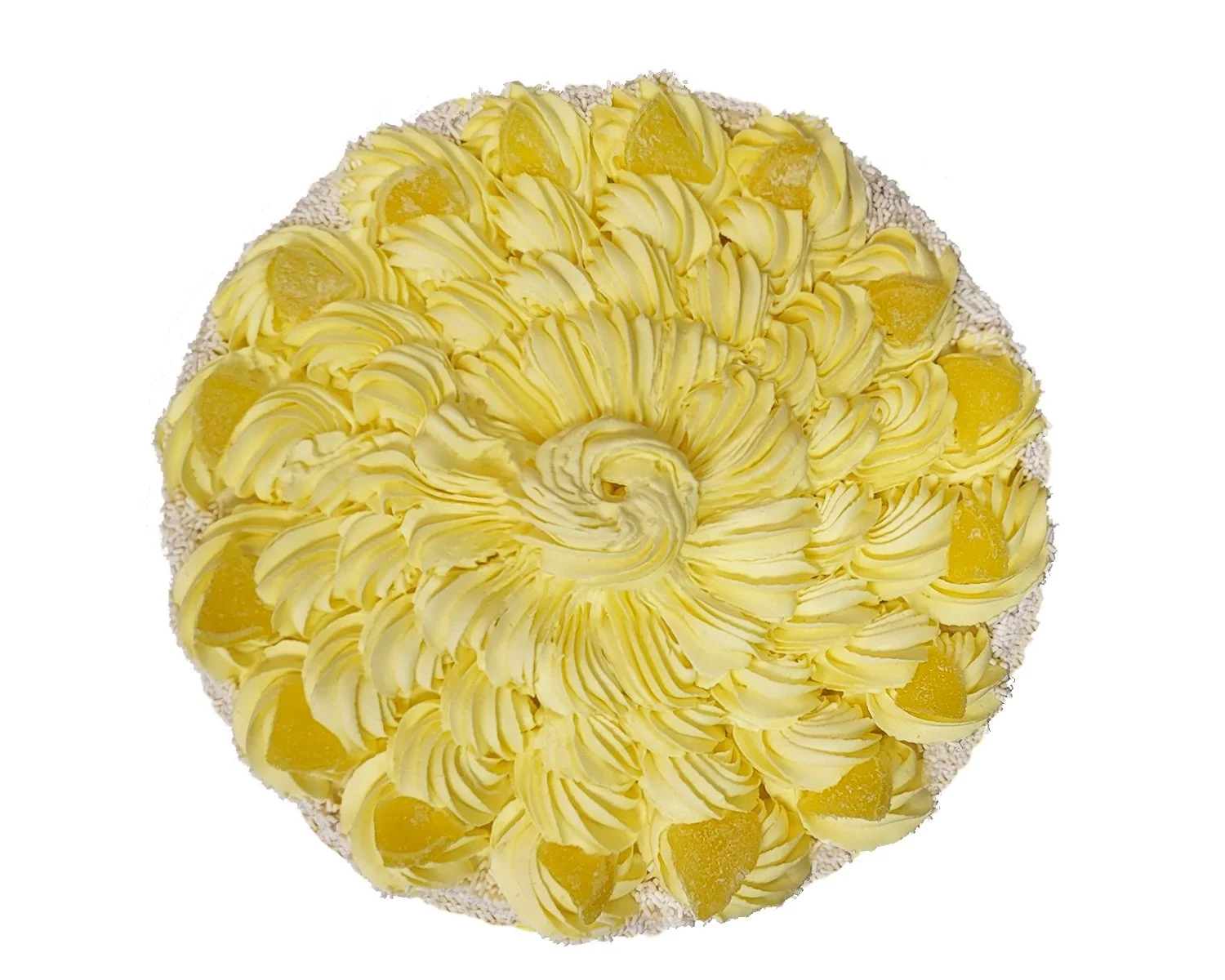 Lemon Cheesecake — Slices Fabulous Cakes