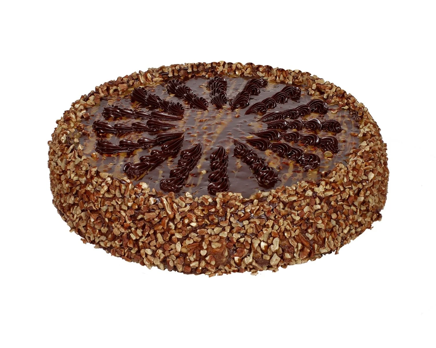 161スイーツタートル Turtle Cheesecake — Slices Fabulous Cakes