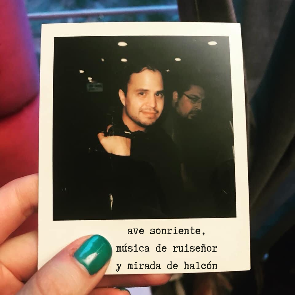 ave sonriente, música de ruiseñor y mirada de halcón.png