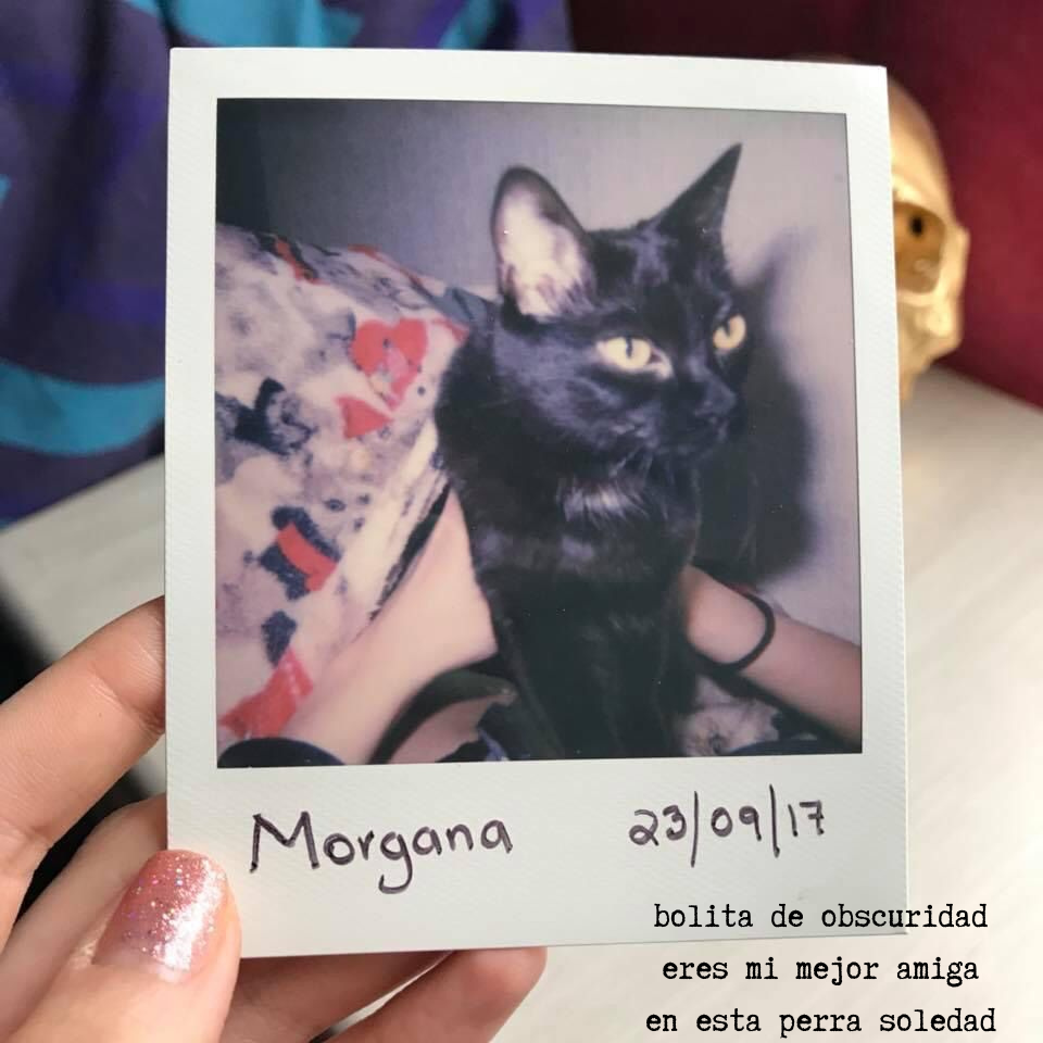 bolita de obscuridad eres mi mejor amiga en esta perra soledad.png