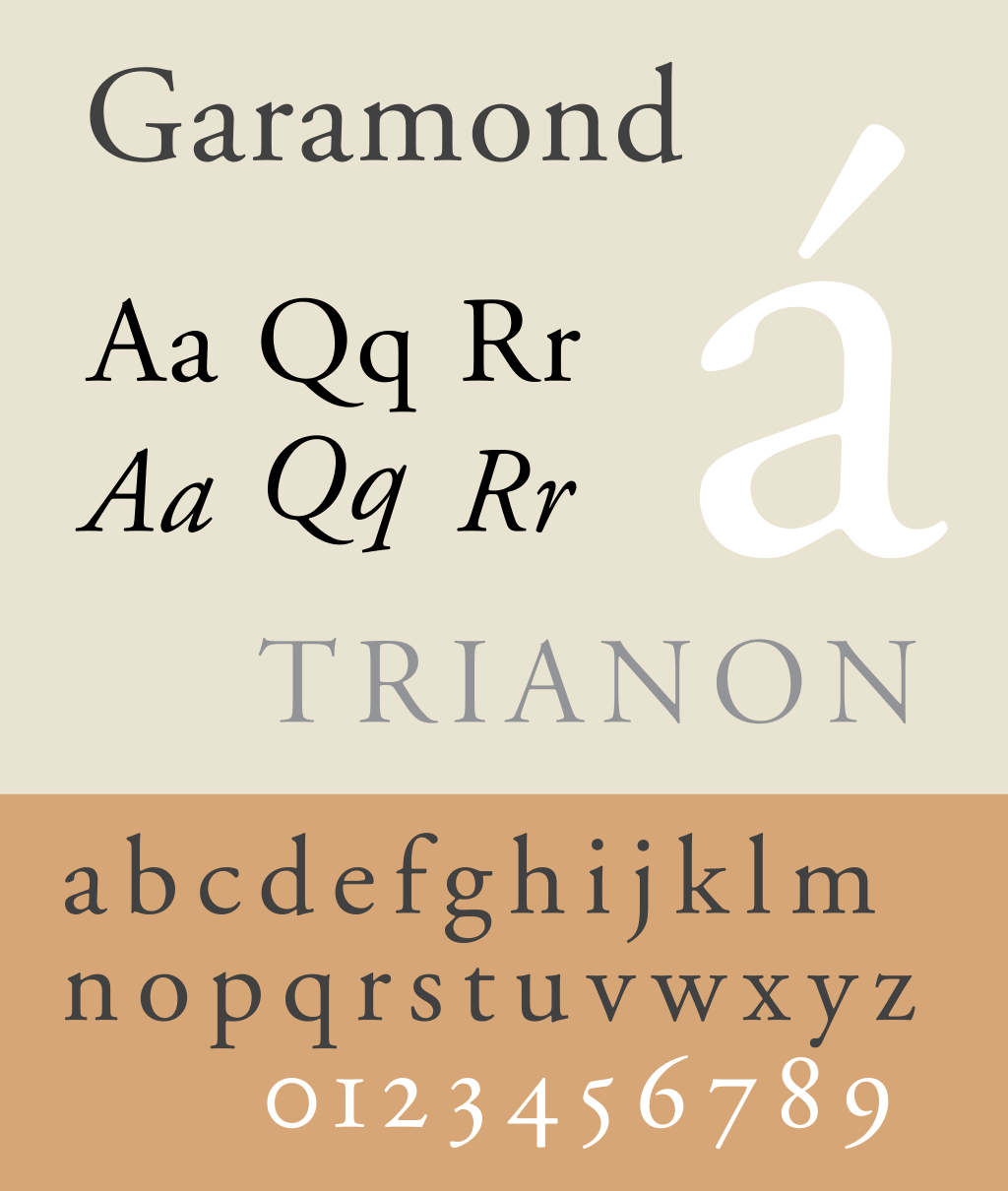 Typography chart displaying the font name 'Garamond' at the top, the alphabet in both uppercase and lowercase, the word 'TRIAGON,' a large gray letter 'a' with an accent, and a section of lowercase alphabet and numbers in a serif font on a beige background.