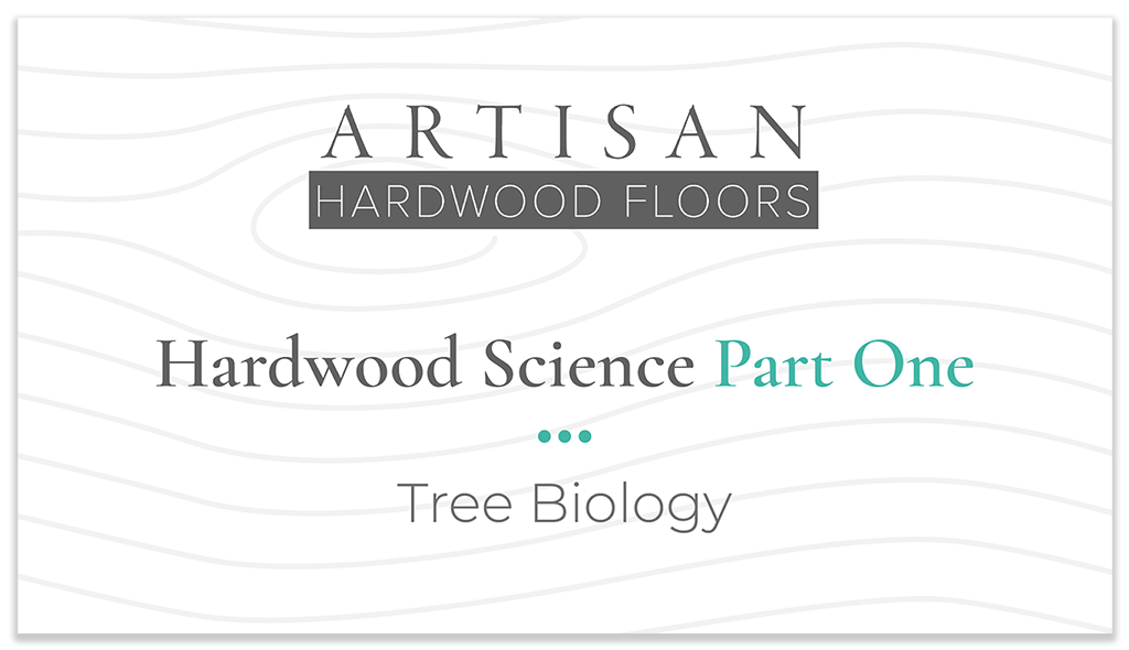 Cover page of a book or presentation titled "Artisan Hardwood Floors" with a subtitle "Hardwood Science Part One" and a smaller title "Tree Biology".