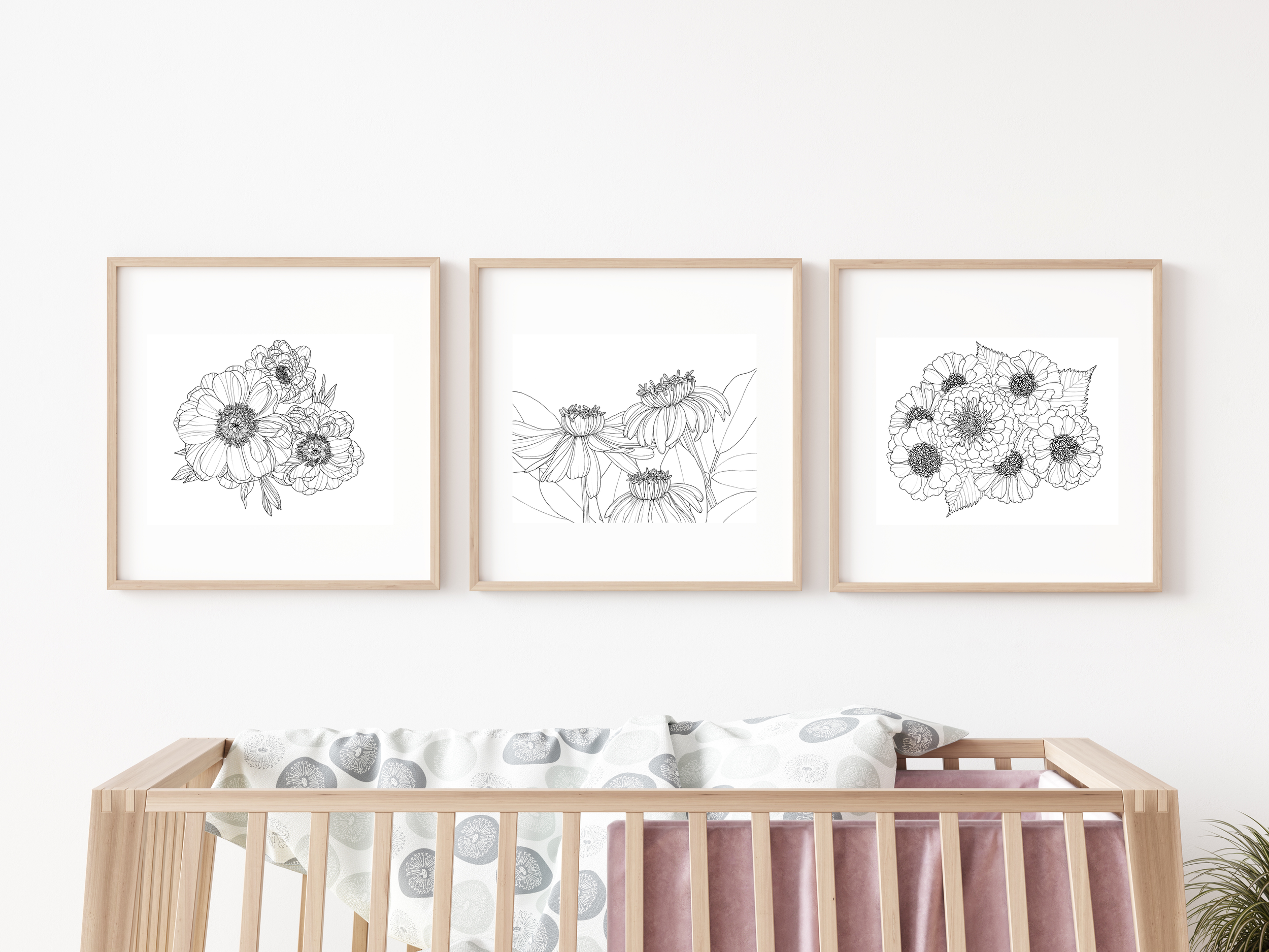 Three framed black-and-white floral line art prints hanging above a light wooden crib with a pink velvet bumper and a white blanket with gray circular patterns.