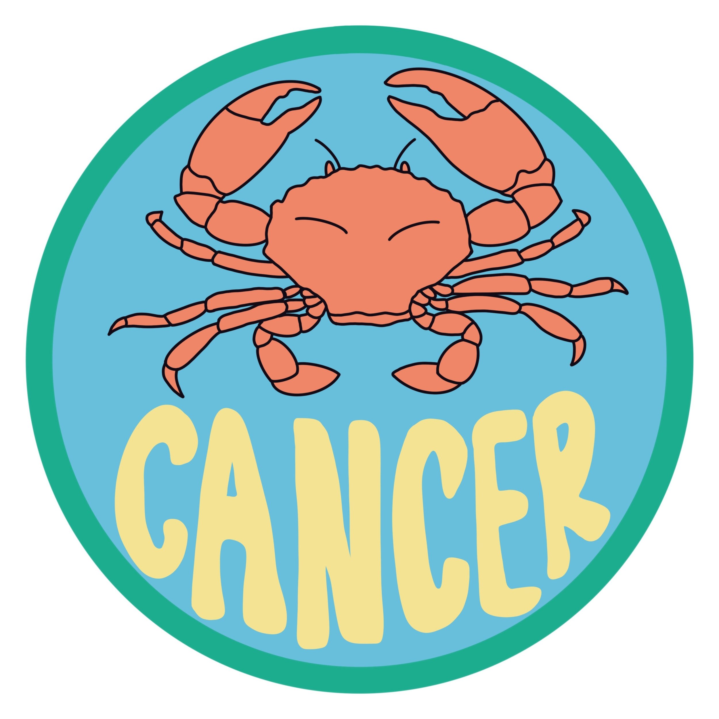 https://i.etsystatic.com/35491149/r/il/fbf680/4081981138/il_fullxfull.4081981138_id6j.jpg