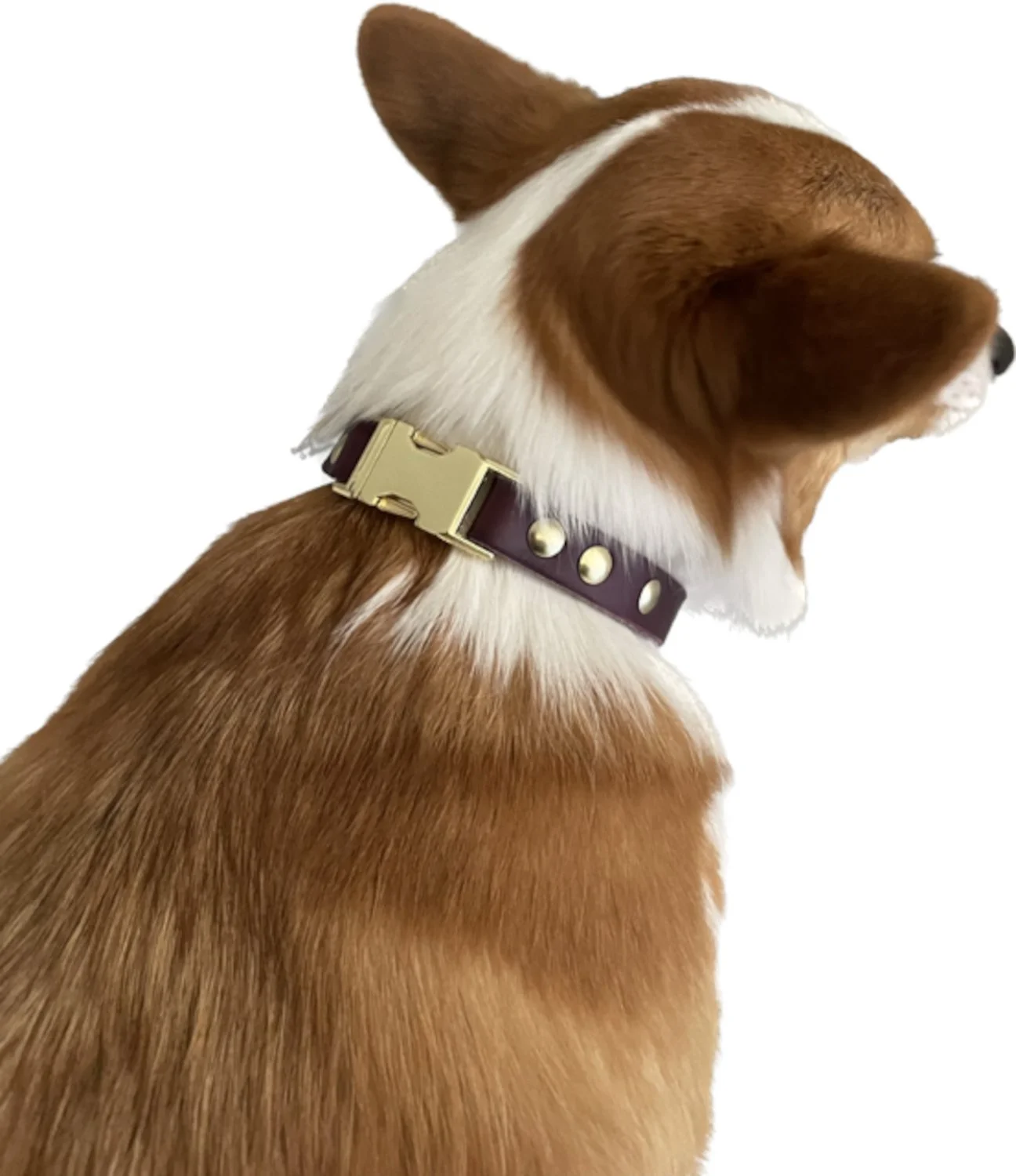 dogcollar1.jpg