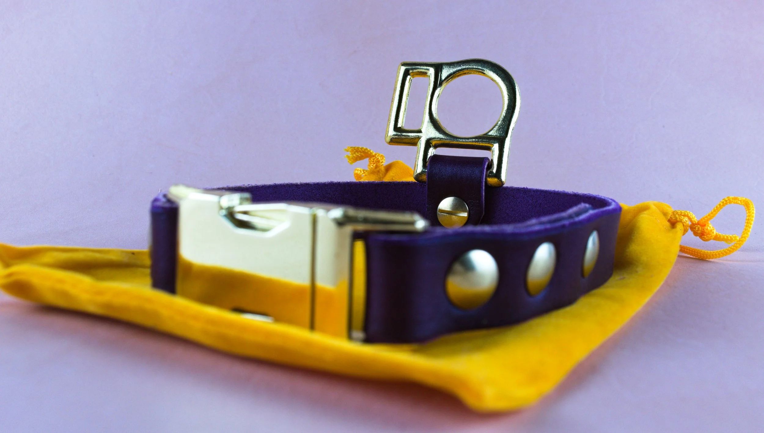 dogcollar3.jpg