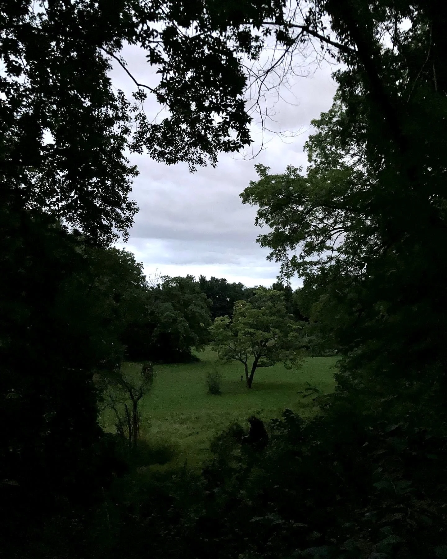 IMG_0053.jpeg