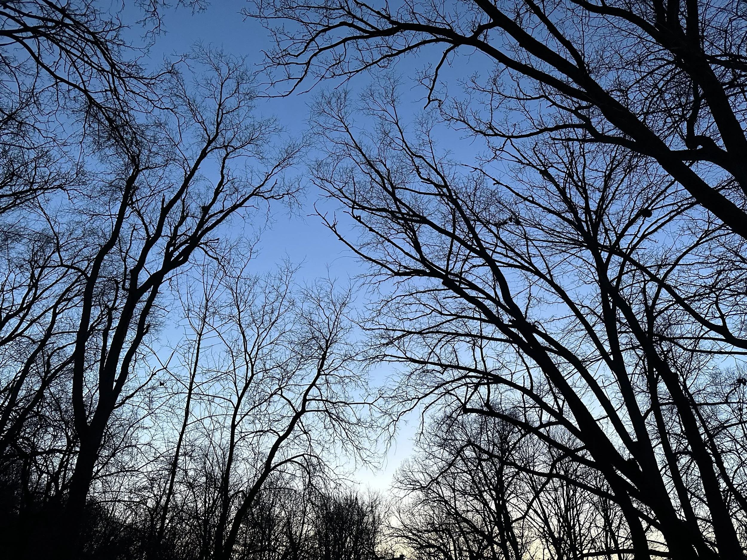 IMG_0886.jpeg
