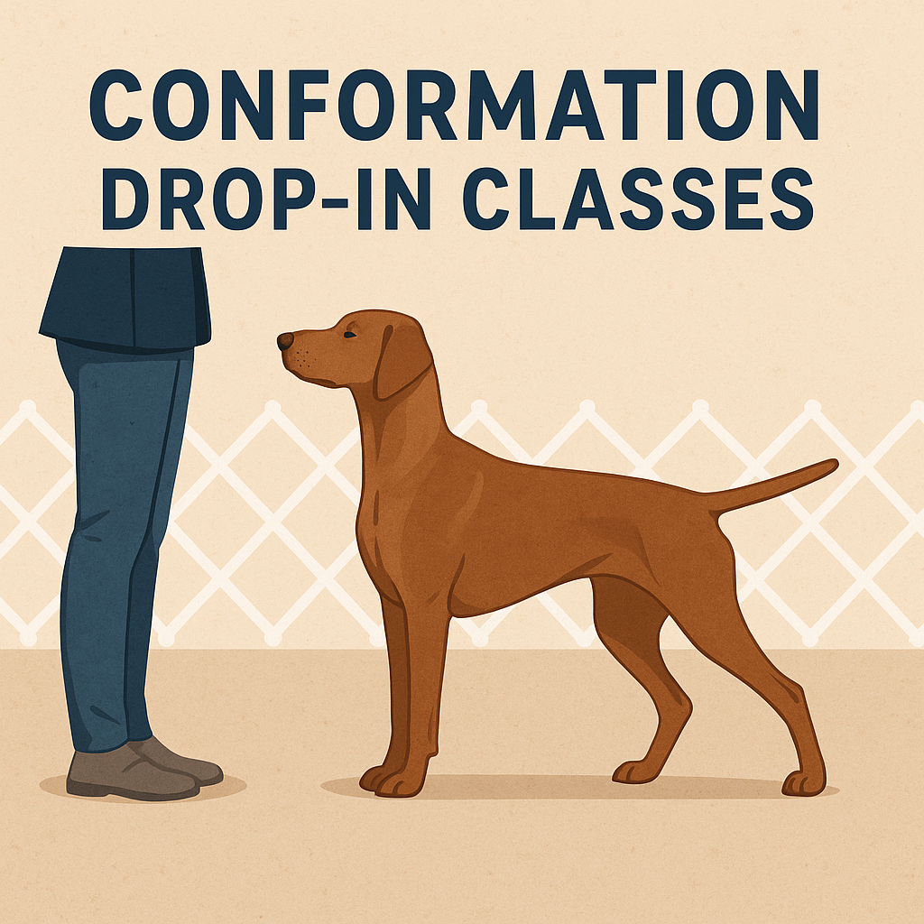 Conformation Drop-In