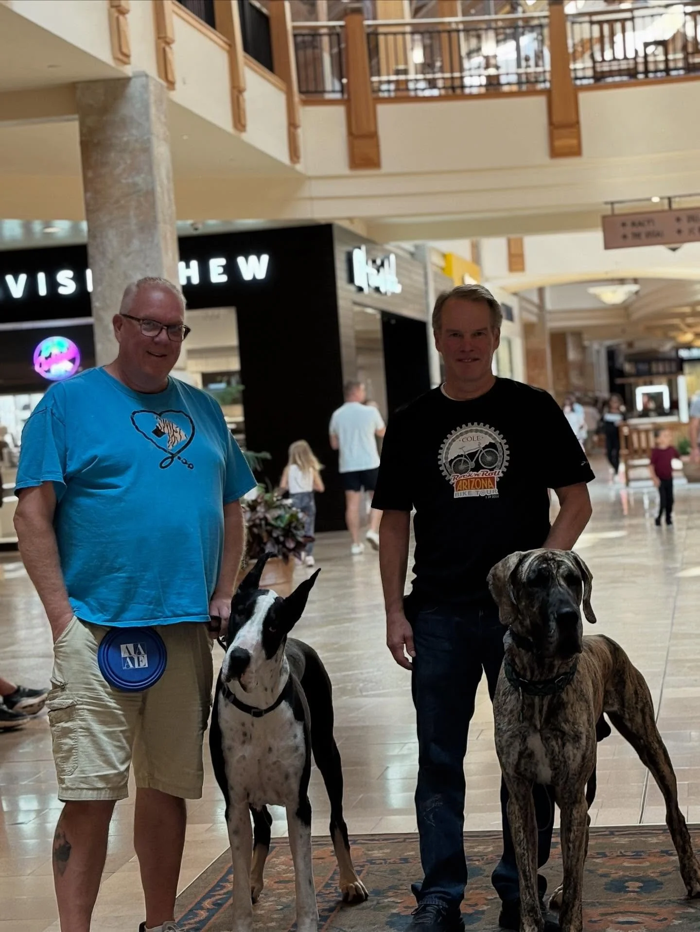 I had the pleasure of testing these two Great Danes for Alliance Therapy Dogs today at Park Meadows Mall. We met all kinds of people, had a nice walk around the mall, and they walked away with paperwork to become official Therapy Dogs! I know they ca