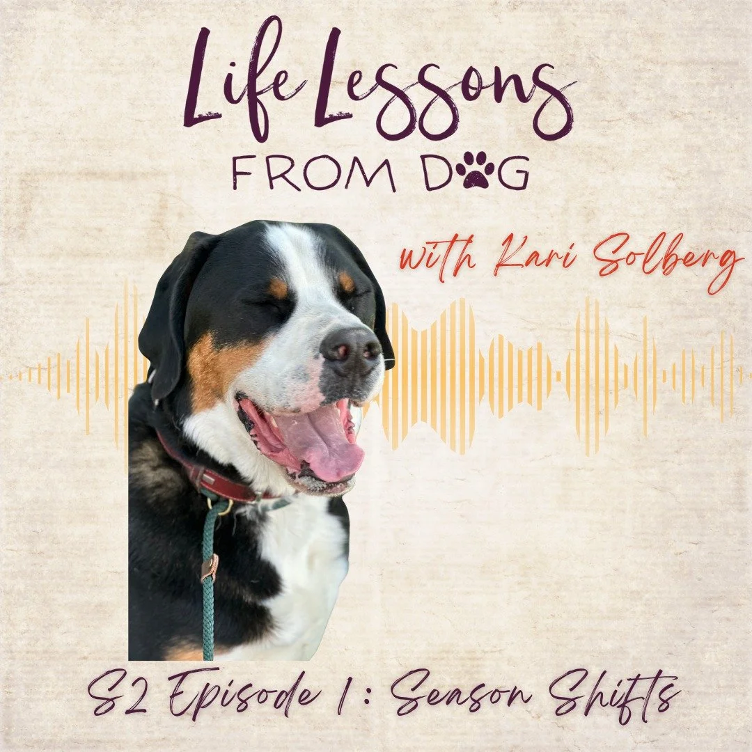 if you haven’t listened to the Season 2 opener yet, it might be a good one to sit with.
It’s not polished or perfectly packaged.
It’s just me catching you up — on July, on booth chaos, on where my head’s been lately.
On