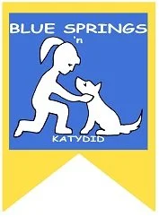 Rally Drop-In @ BSKD