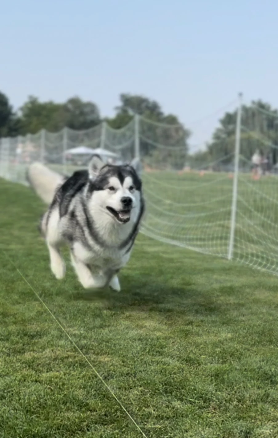 Bachelor's first FastCAT run, he's a natural!
