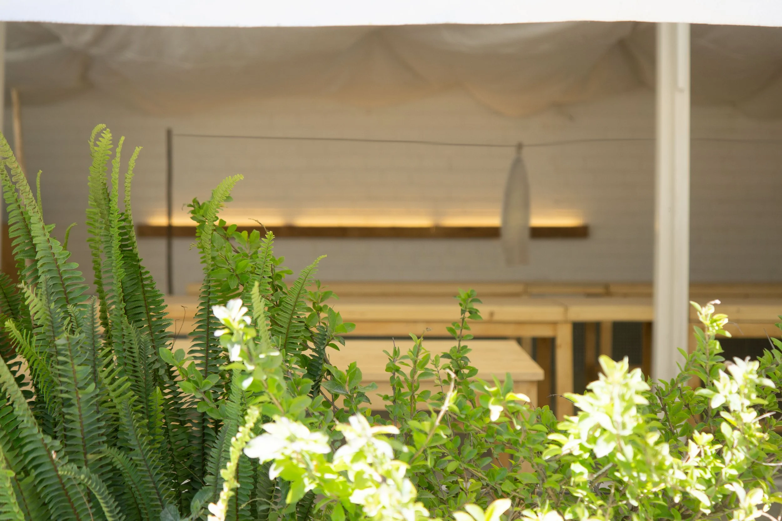 Cucina outside.jpg