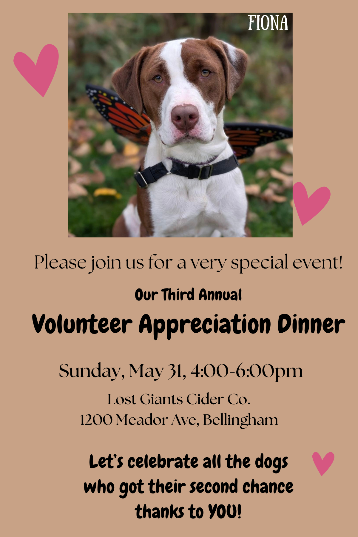 Volunteer Appreciation &amp; Annual Meeting!