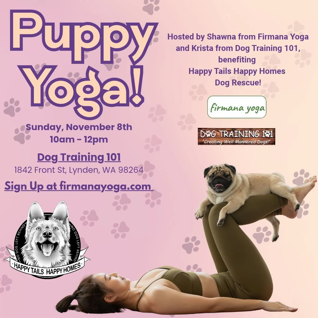 Puppy Yoga with Firmana Yoga at Dog Training 101