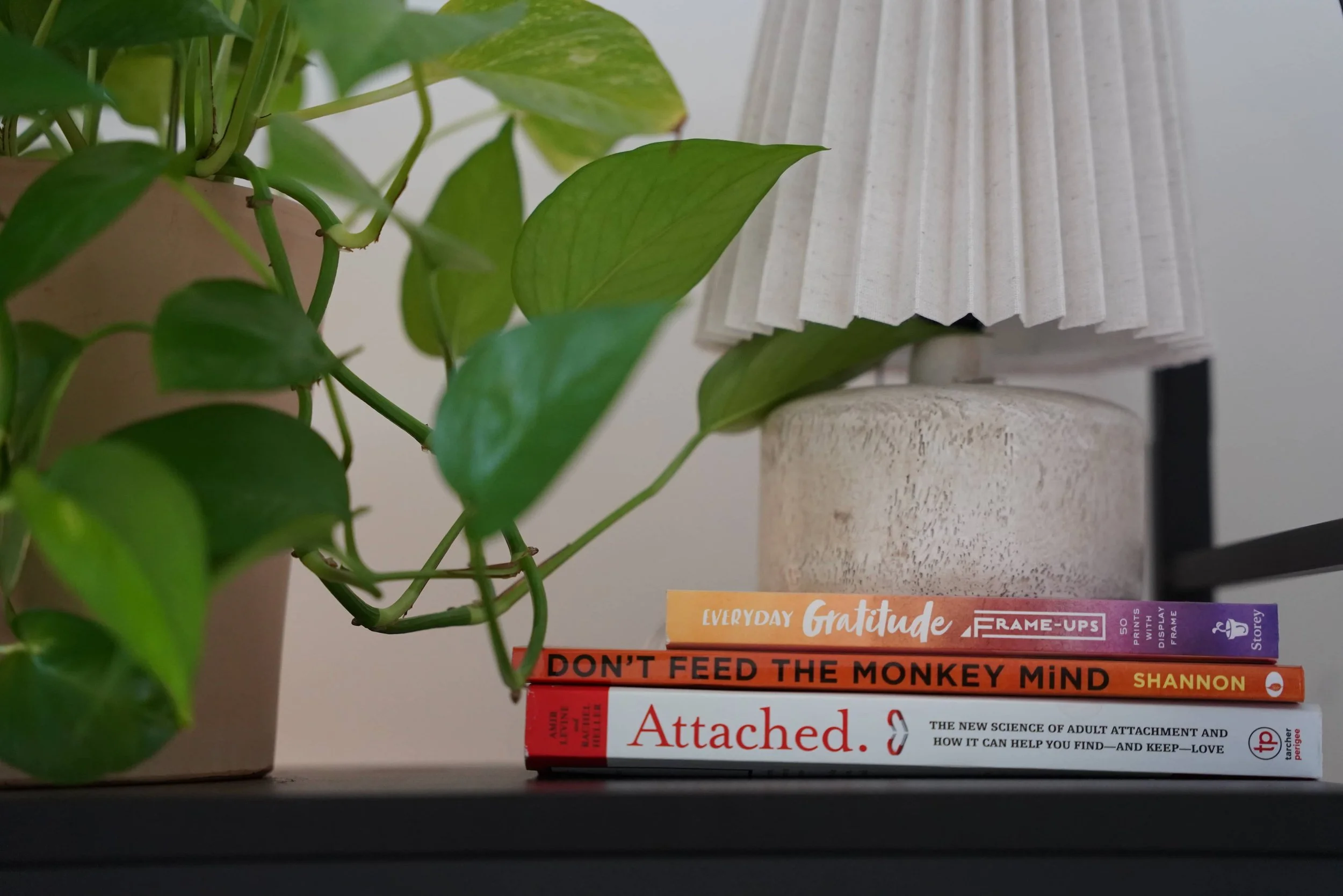 3 psychology books in front of a lamp