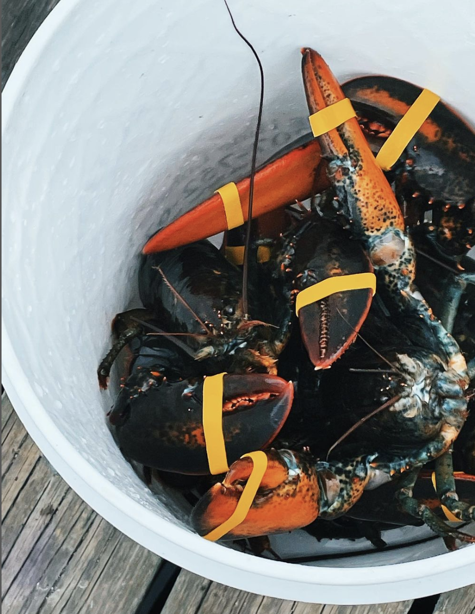 Screen Shot 2023-05-12 at 8.45.26 AM.png