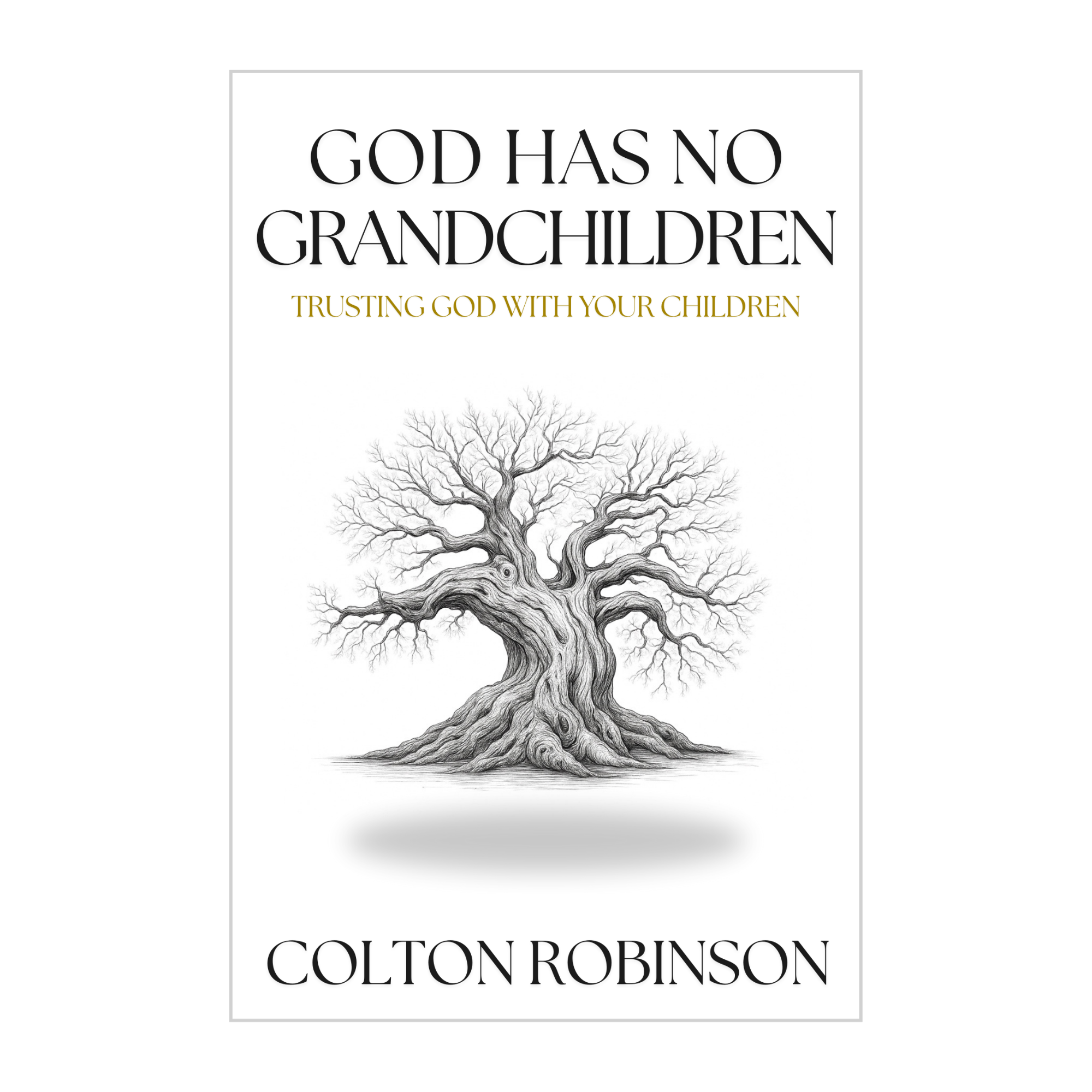 God Has No Grandchildren Website Pic.png