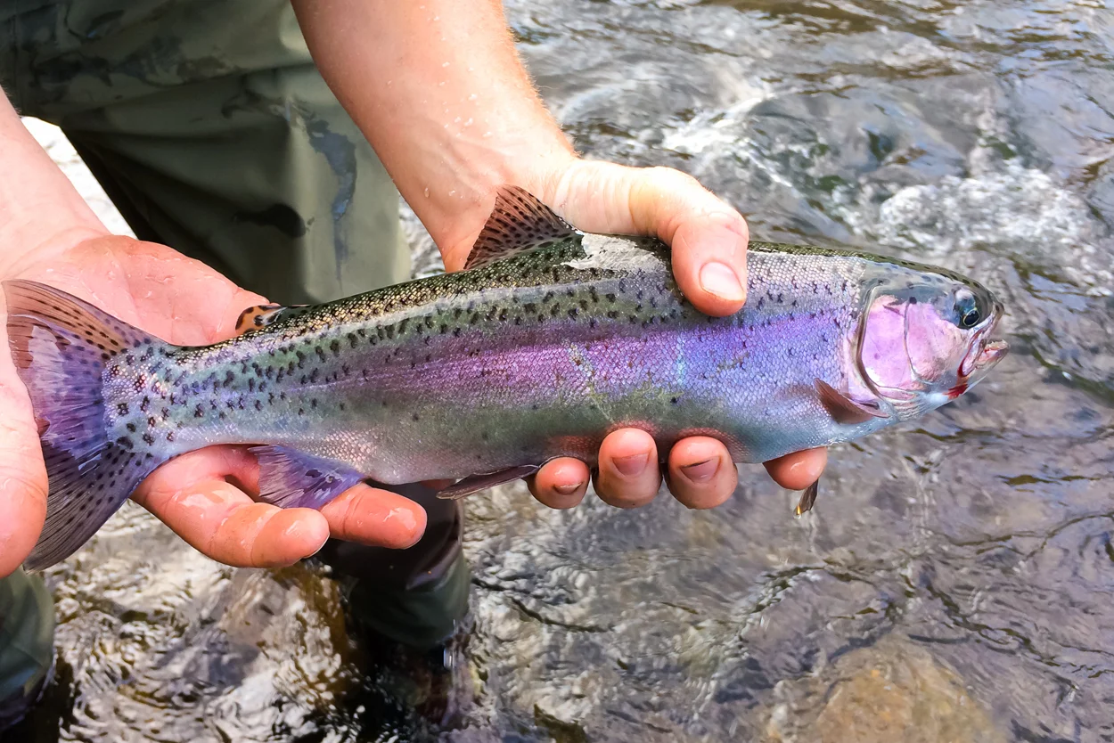 Where are the best places to fish near Nehalem, Oregon?