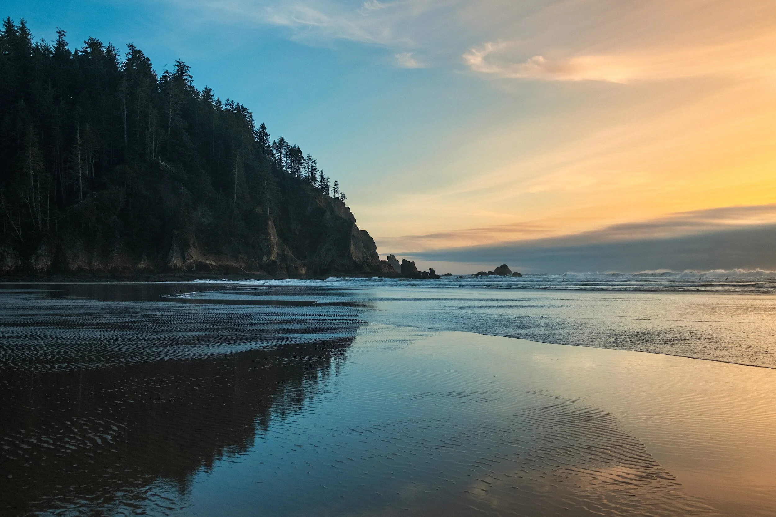Exploring the Untamed: Oswald West State Park's Coastal Tapestry