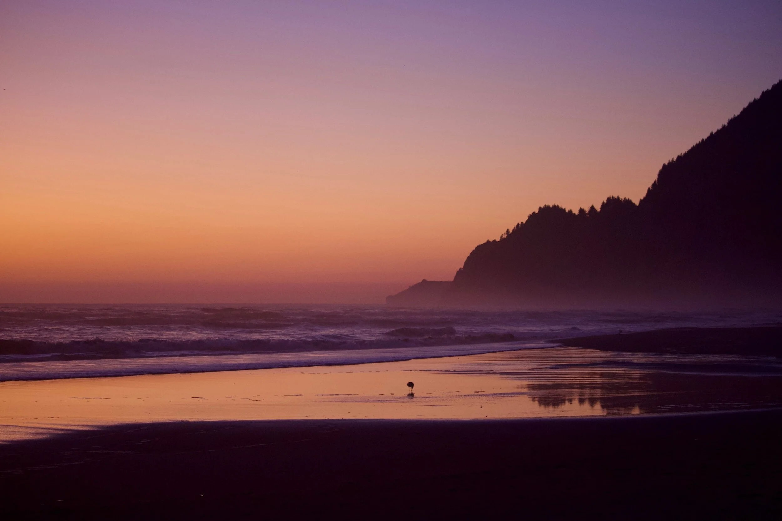 Things to do near Nehalem and Manzanita