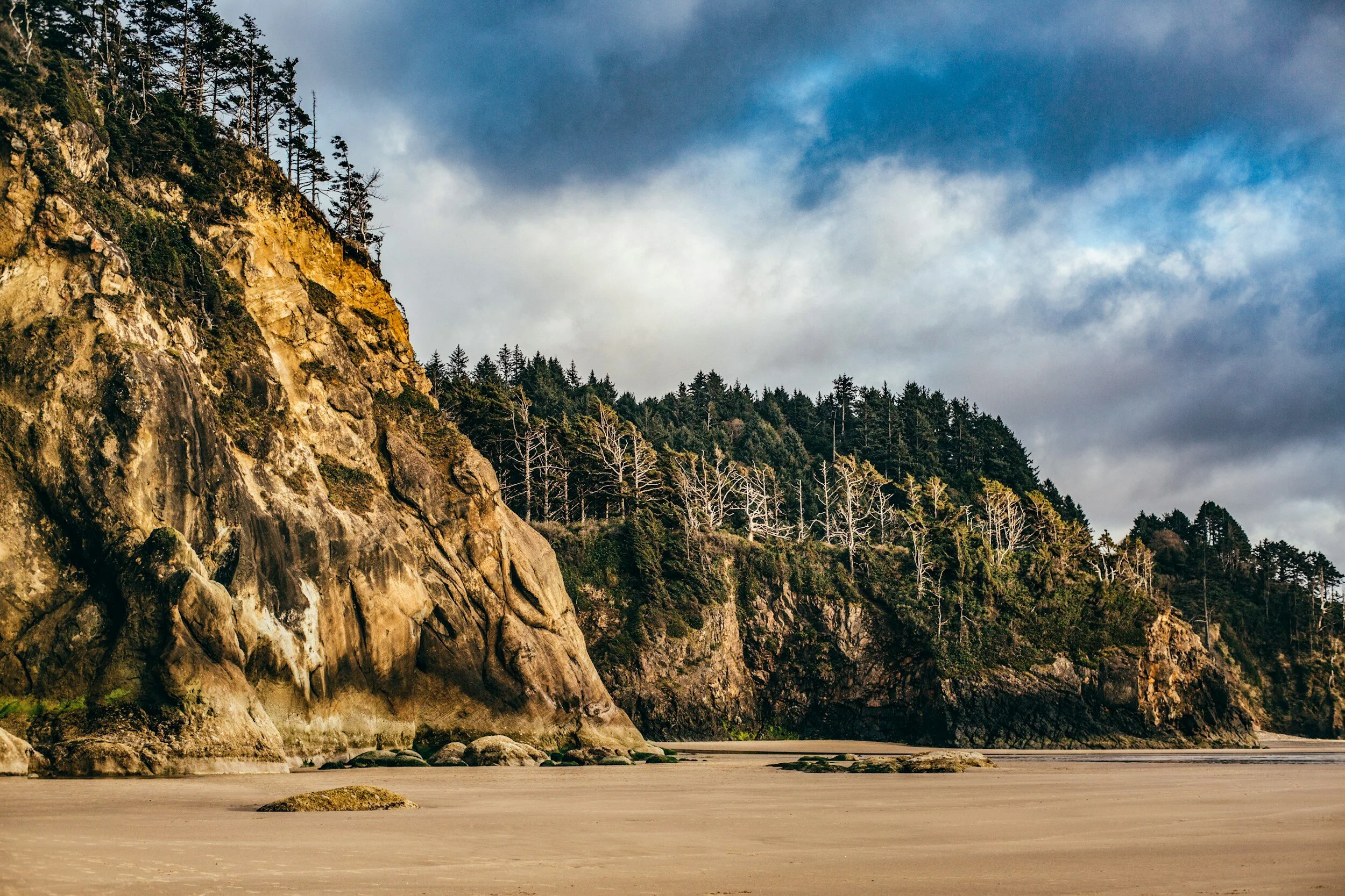 Seven Great Beaches Near Cannon Beach and Manzanita on the Oregon Coast