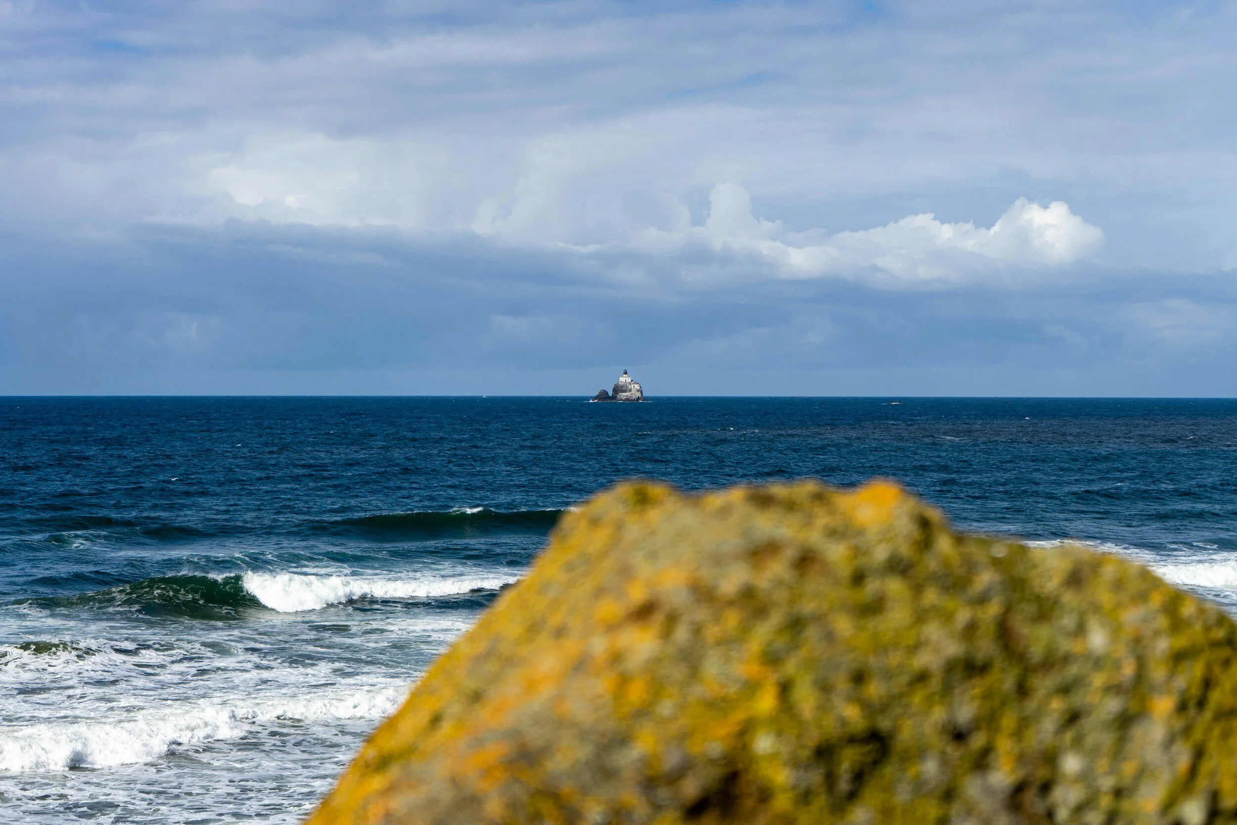 Whale-watching near Manzanita on the Oregon Coast