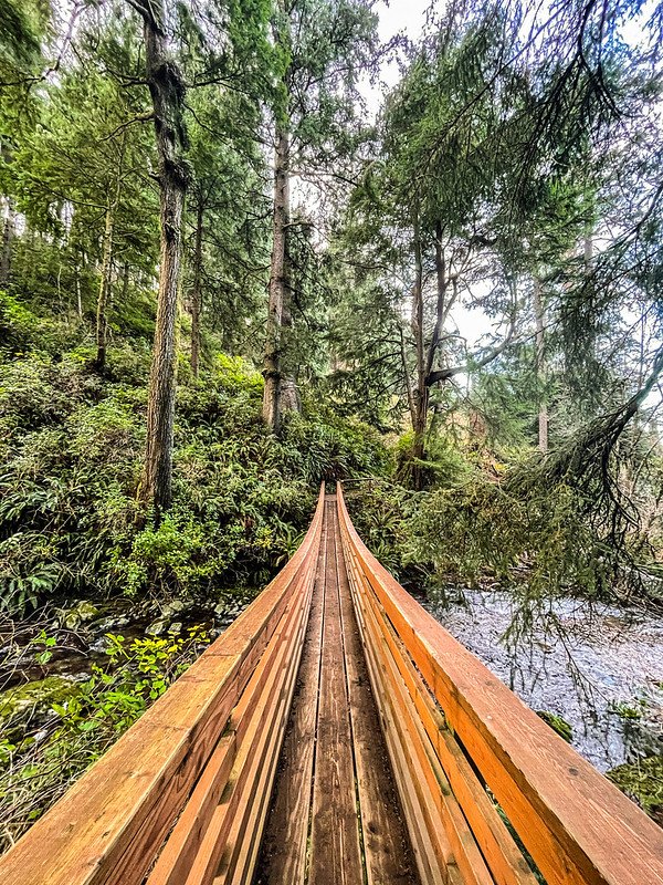 Best Time of Year to Visit Oregon: Discover the Perfect Season
