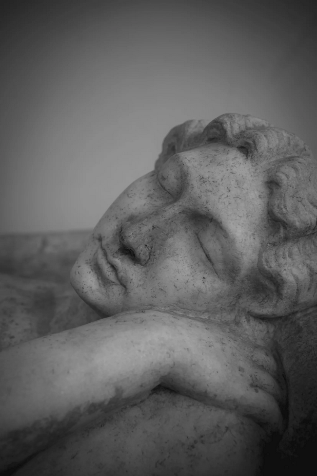 Close-up of a fallen stone sculpture of a lion, showing detailed facial features in black and white.