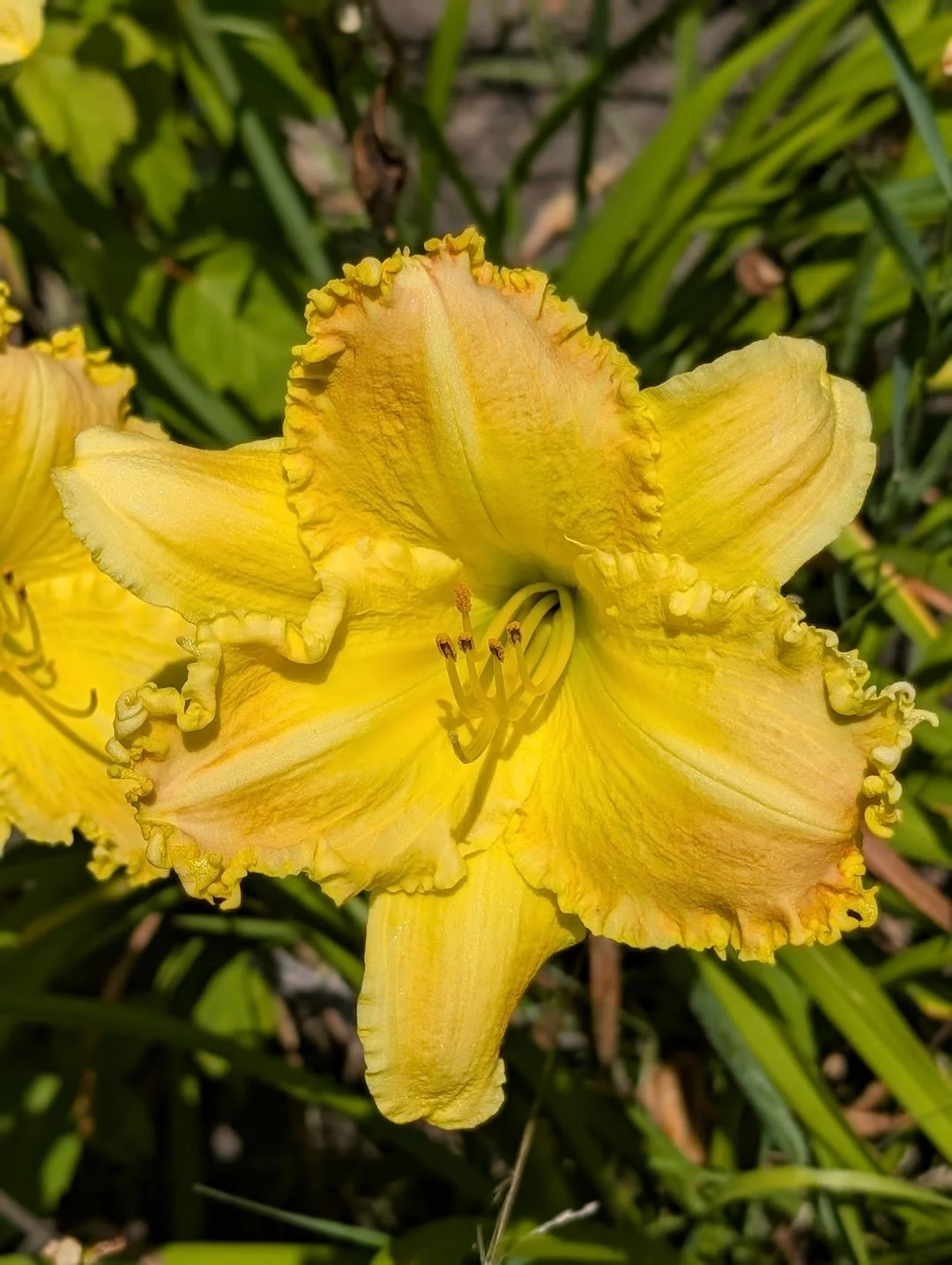 A Bit of Spice 2.jpg