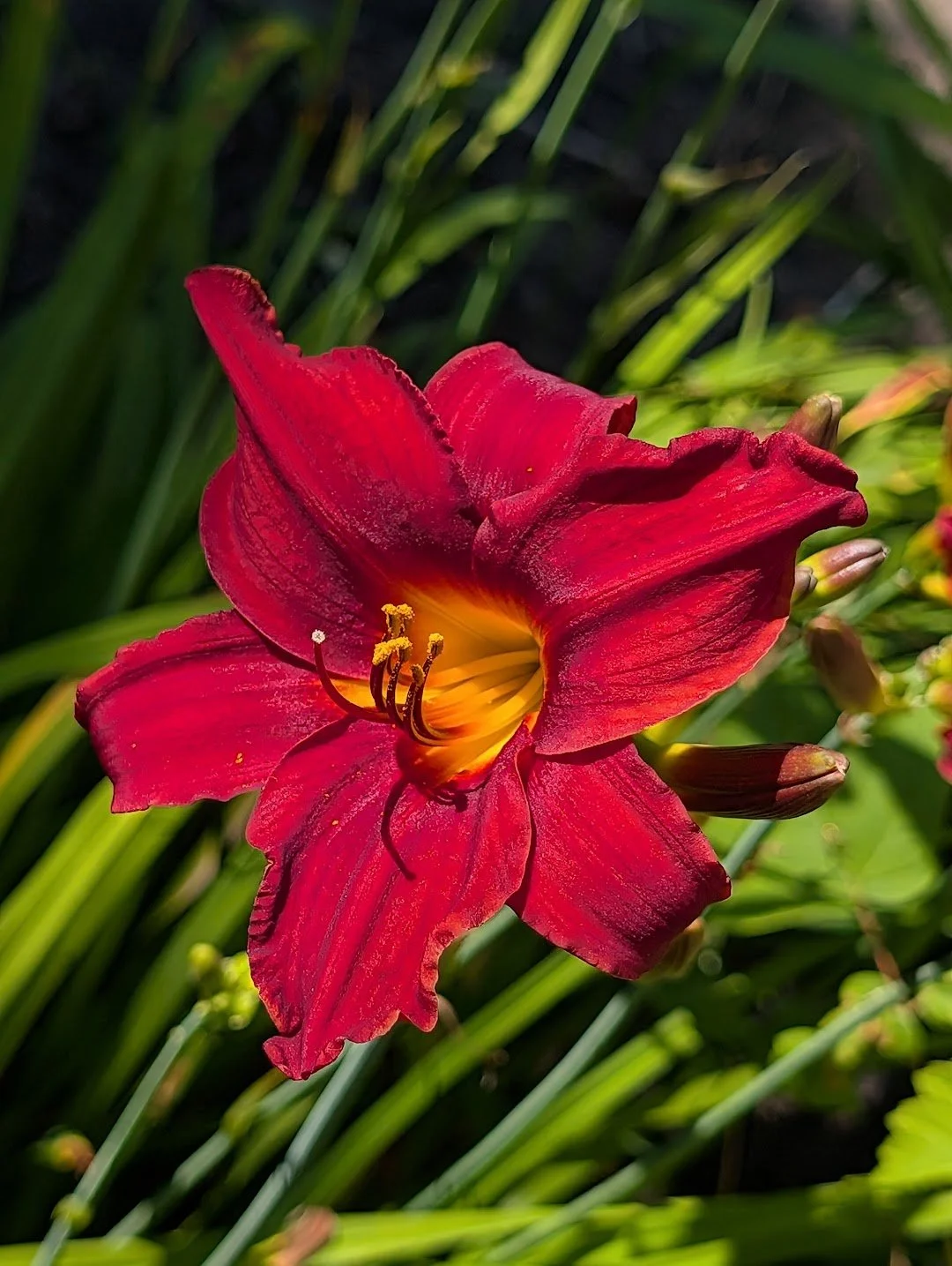 Summer Flair