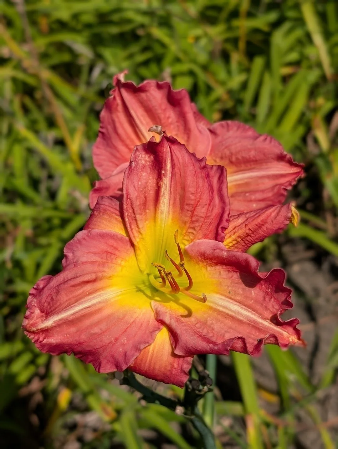 Tillamook 1.jpg
