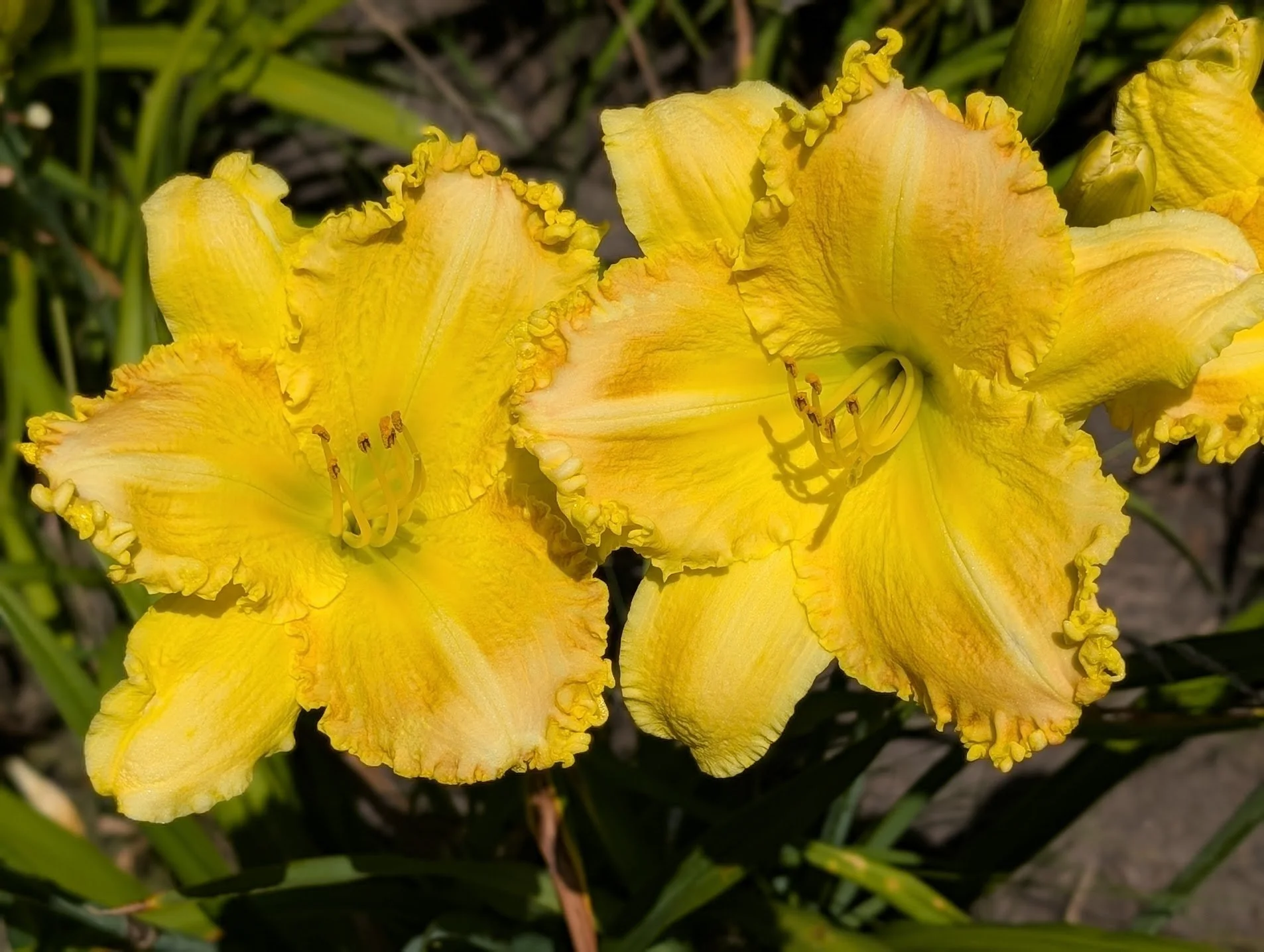 A Bit of Spice 1.jpg