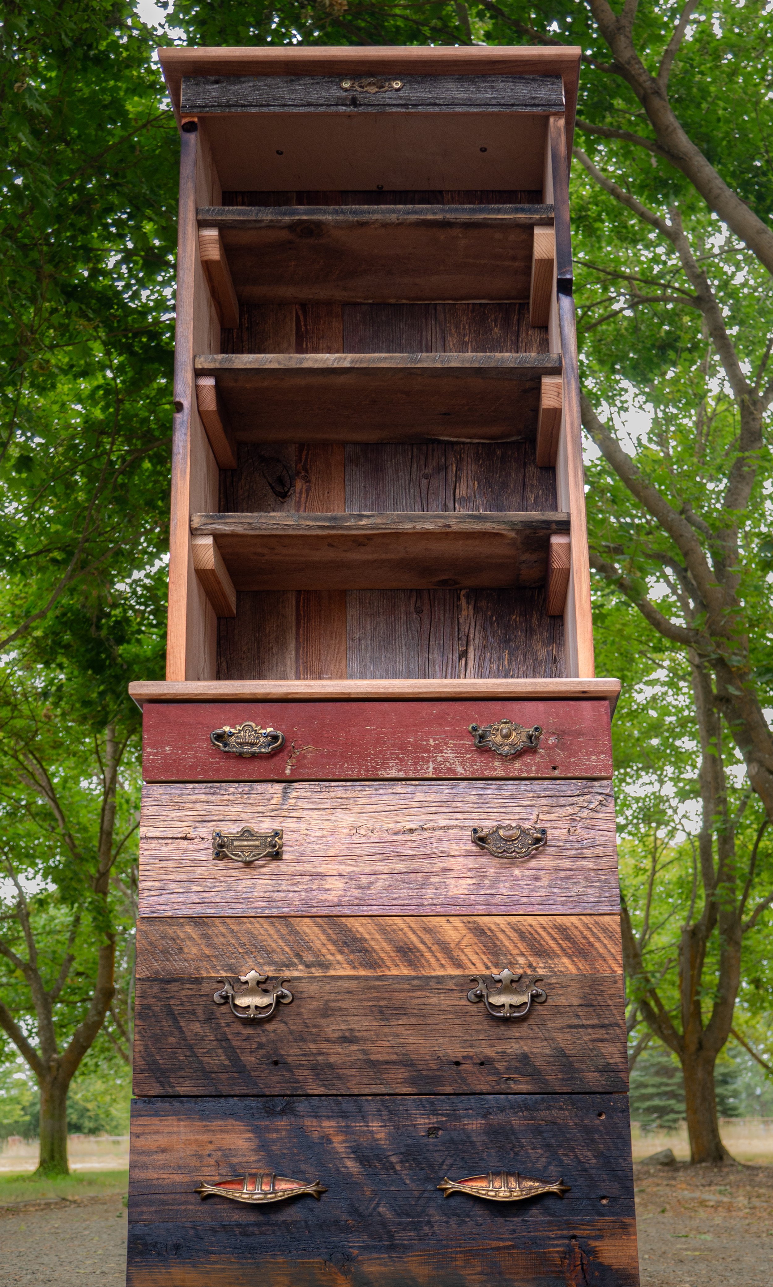 P1040395-Edit.jpg