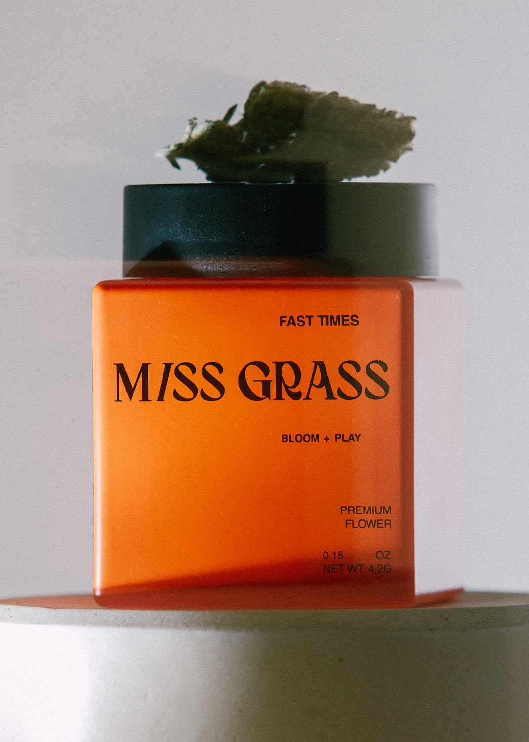 MISS GRASS — PHOTO