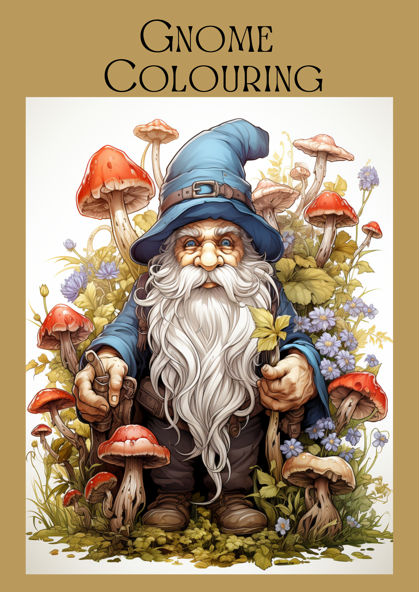Gnome colouring.png
