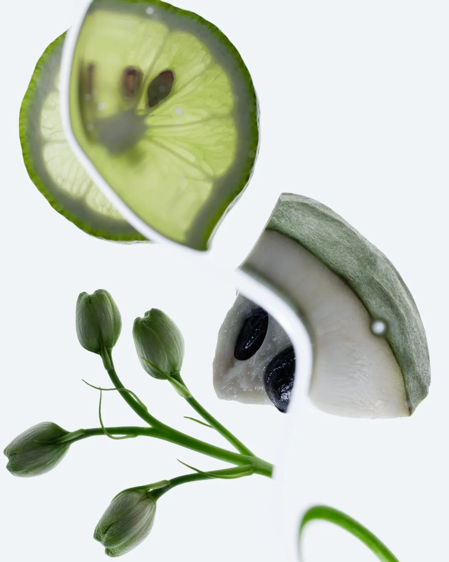2025_12_03_TatchaxMemoryCream_Ingredients-379_FINAL.jpg