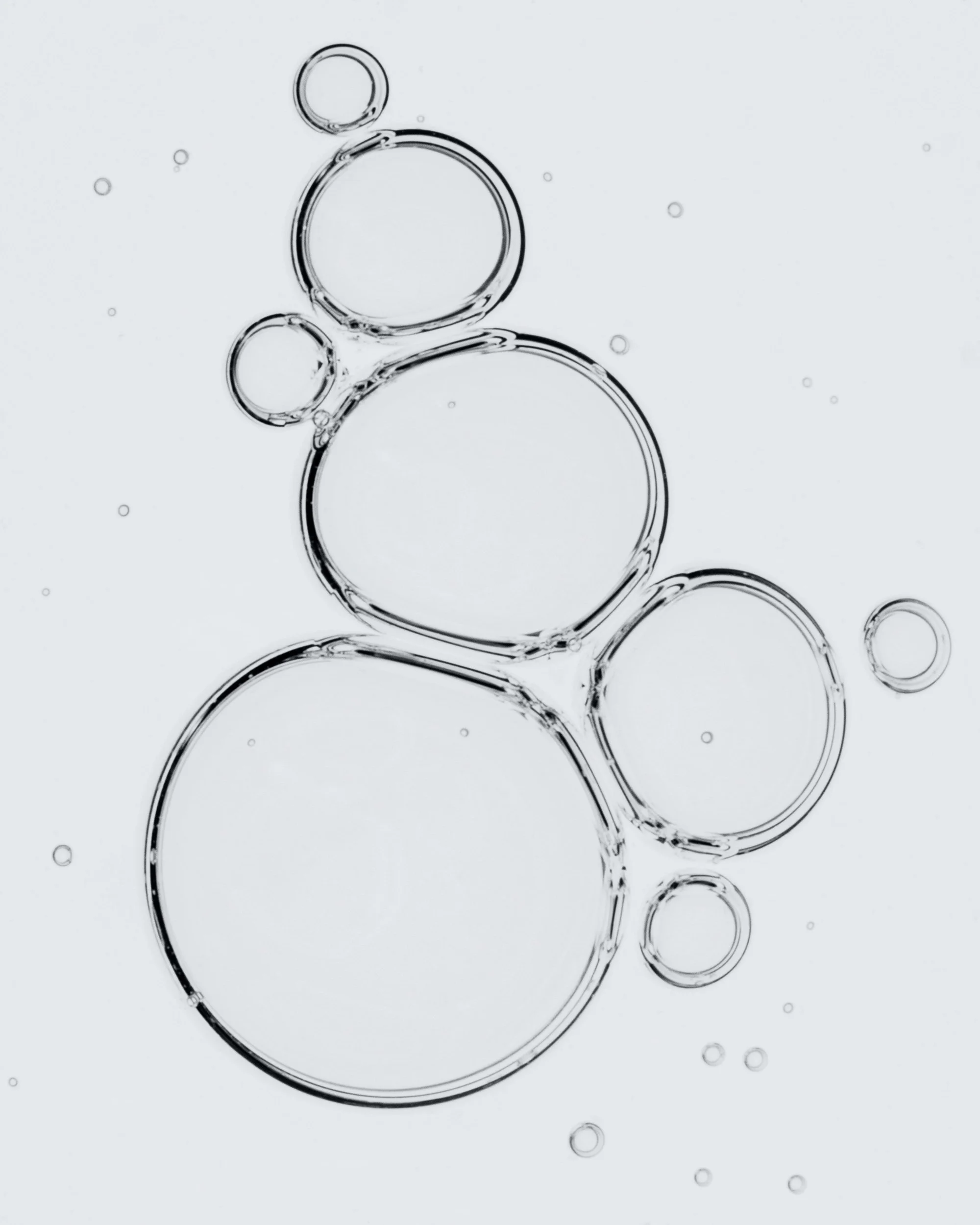 2025_12_03_TatchaxMemoryCream_Ingredients-469_FINAL.jpg